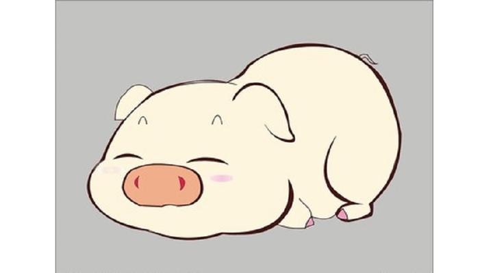 《我的爱人是头猪》 - 知乎