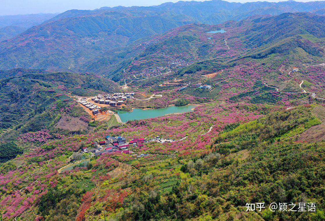 谢公宿处今尚在,冰川石浪百万年,最美四月樱花红