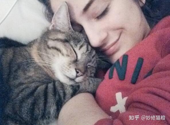 养猫多年才知道,这6类人,是猫咪最期待的主人 - 知乎