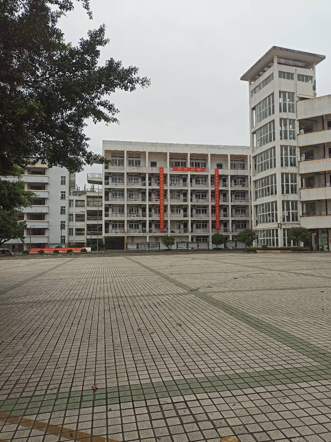记录我的柳州市钢一中学三年生涯