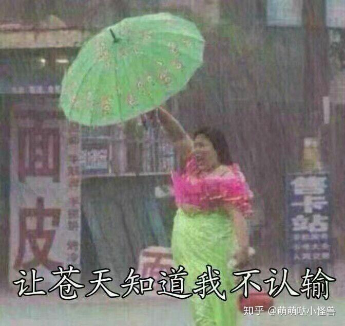 小米6x,荣耀畅玩7x,诺基亚x6和魅蓝note6何去何