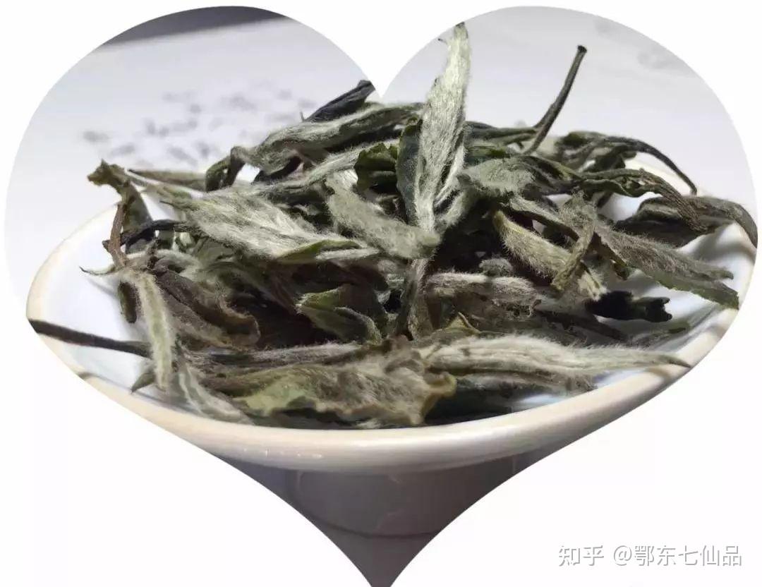 英山茶叶谷茶与爱情图片