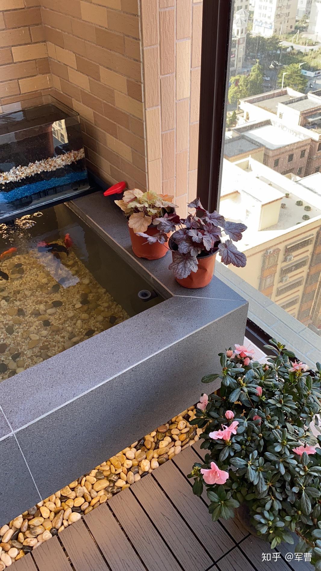 如何自制阳台生态小鱼池? - 知乎