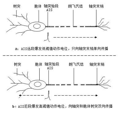 dht11的工作原理是什么啊_幸福是什么图片(3)