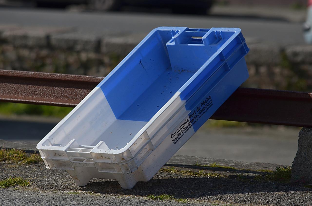 什么东西可以放生