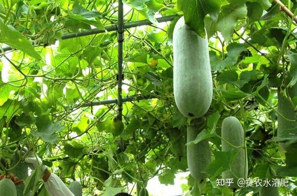 v2-9a5b8a64b853e236977644921982edfc_r.jpg