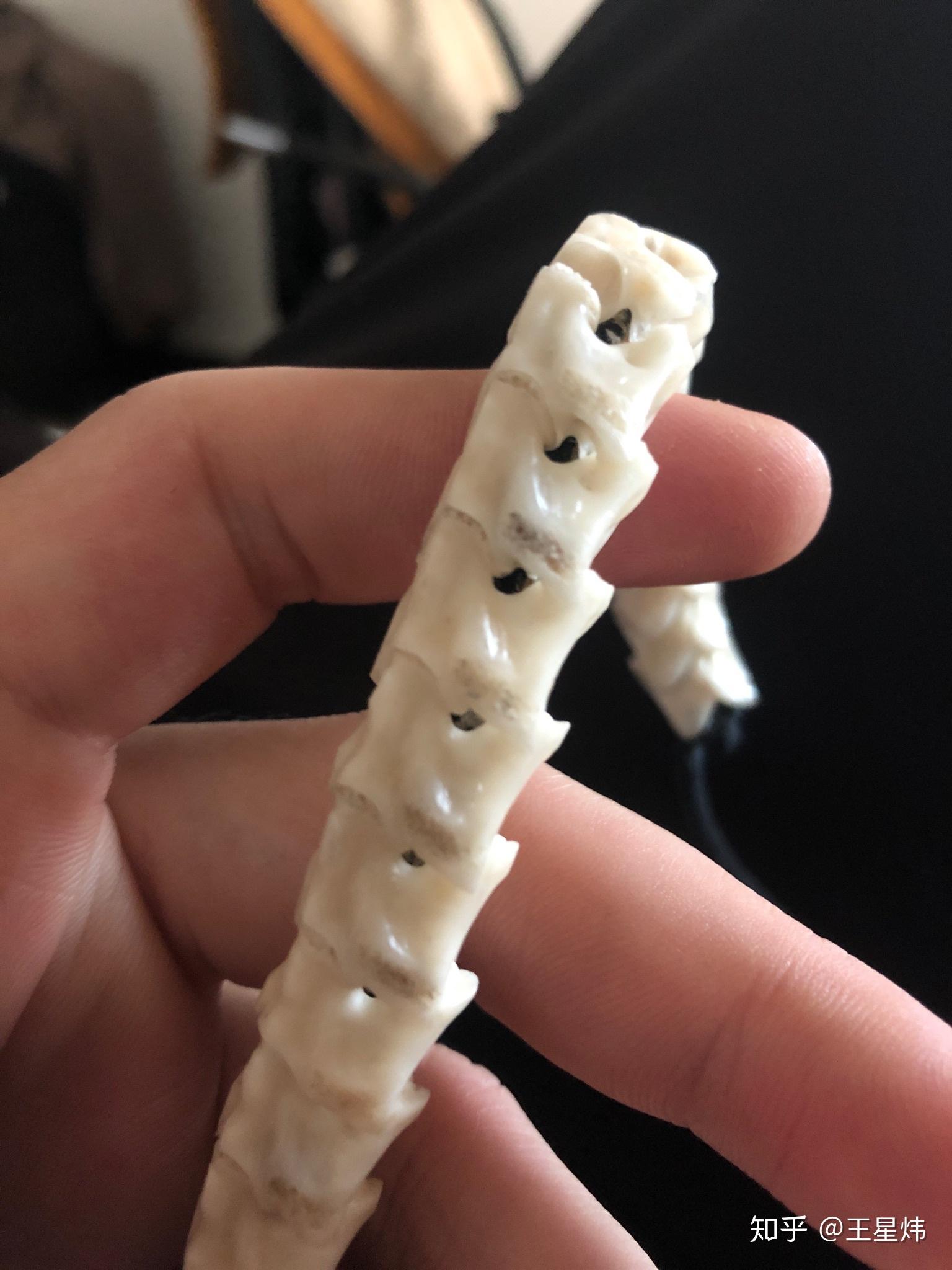 蛇骨手串发黑了怎么办缝隙处有脏东西