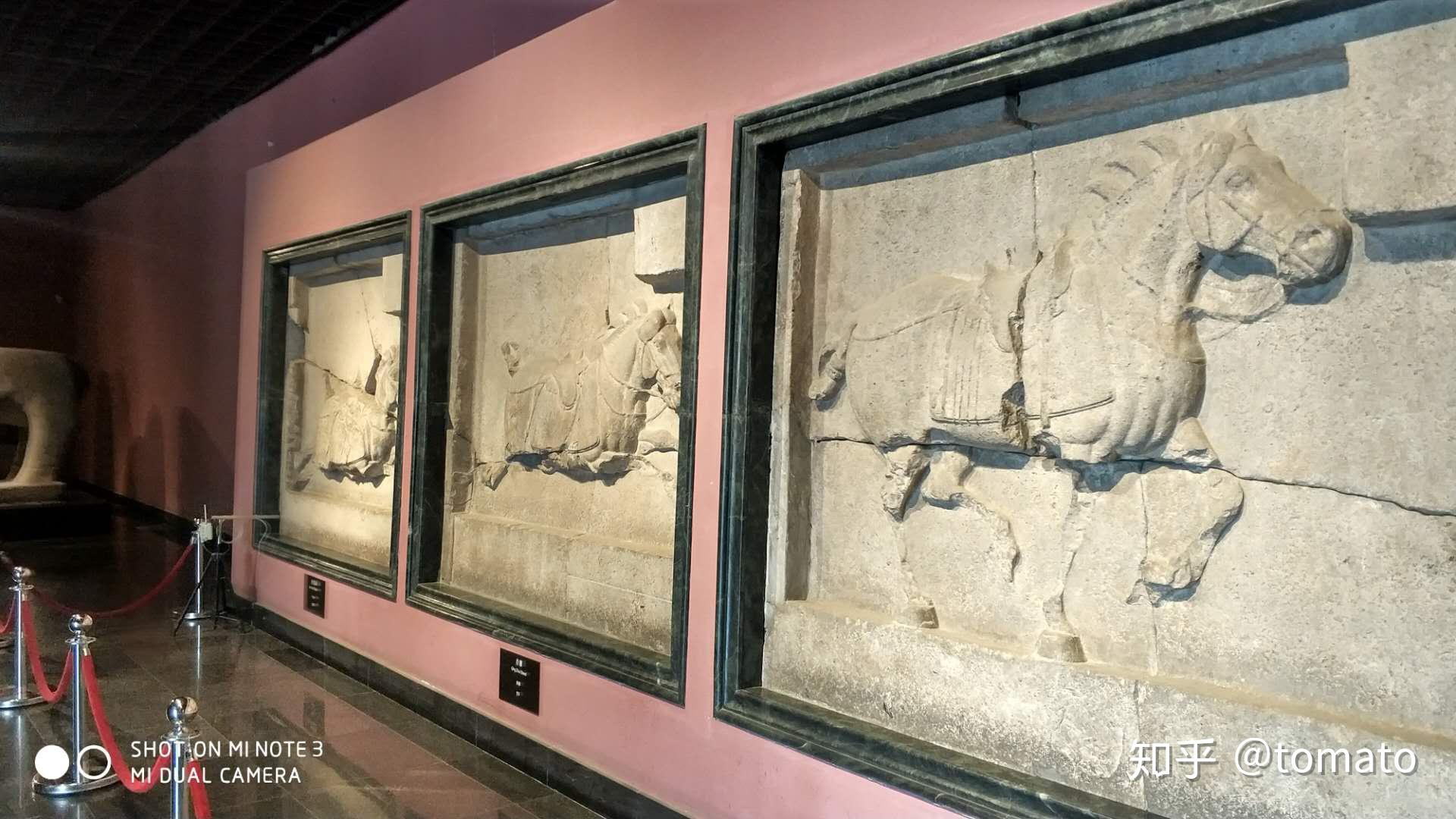 唐昭陵六骏浮雕