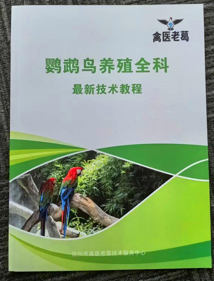 《鹦鹉鸟养殖全科》详细的介绍 - 知乎