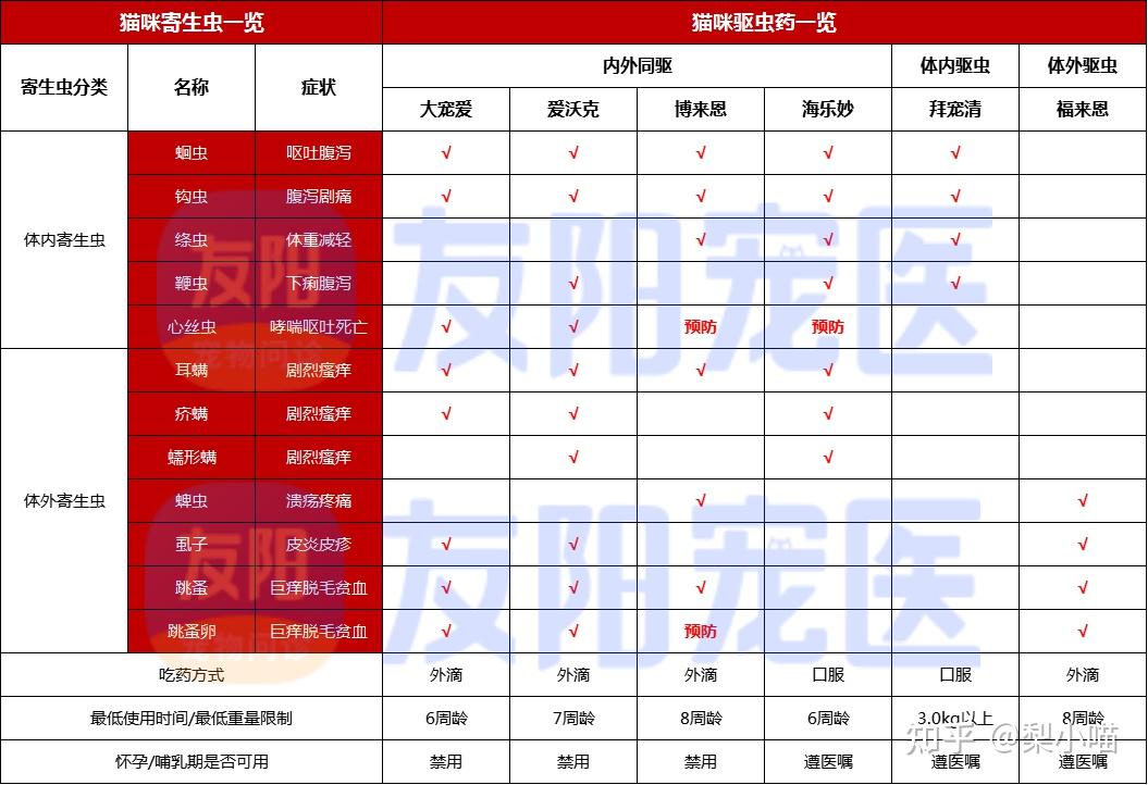 猫咪狗狗驱虫给我冲找到宝了快上车
