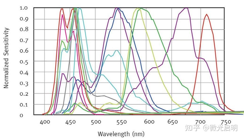 特种相机（一）—— 多光谱相机（基础篇） - 知乎