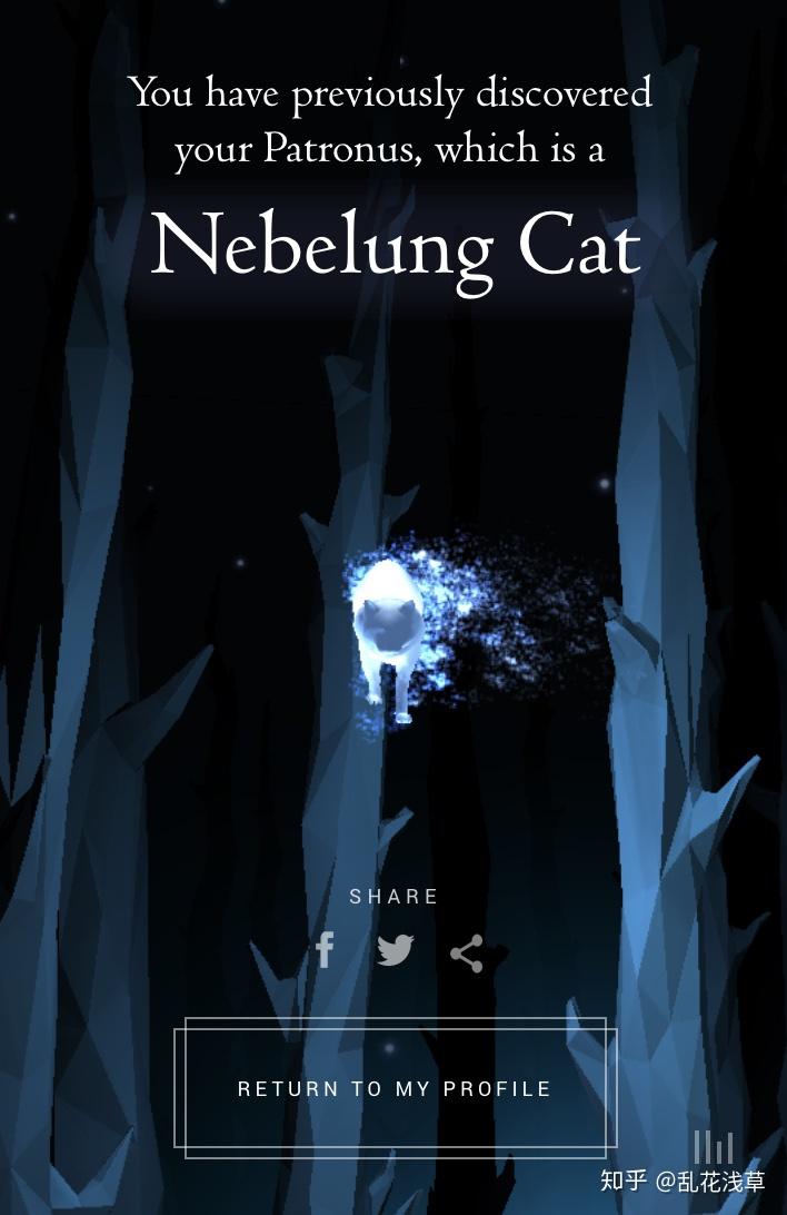 你们的守护神是什么