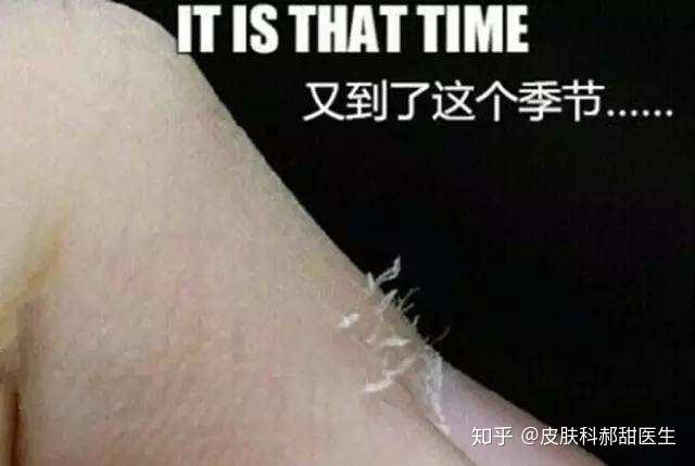 v2-9a8c0cd8740f7e4e74c93e5fb17919de_r.jpg