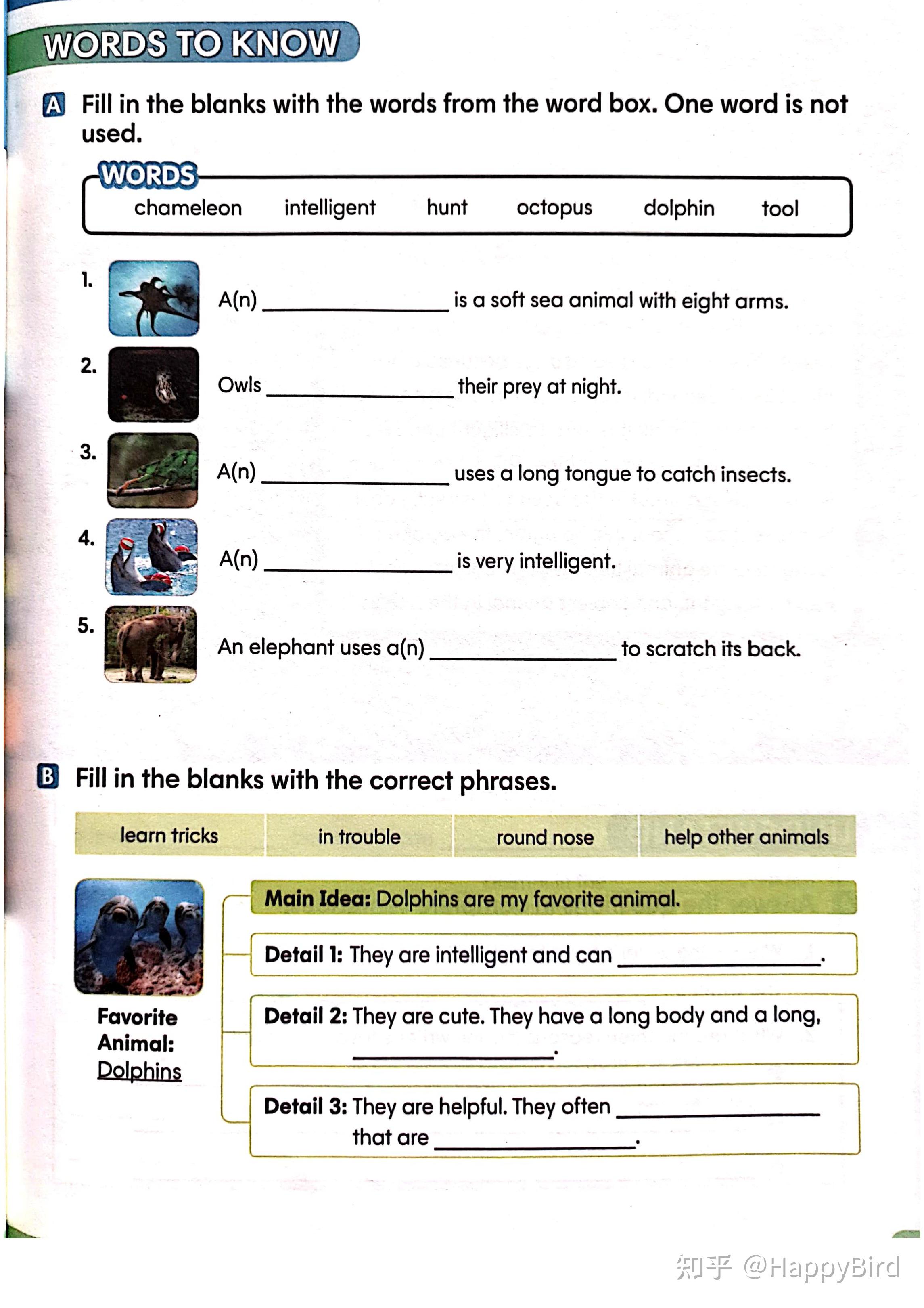 writing-framework