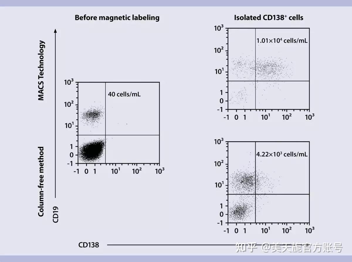 MACS 专栏一:新手必看!细胞磁性分选入门 - 知乎
