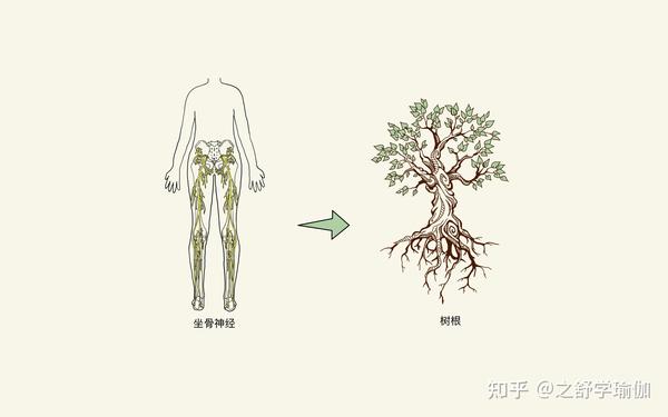 觉知是什么？ - 知乎
