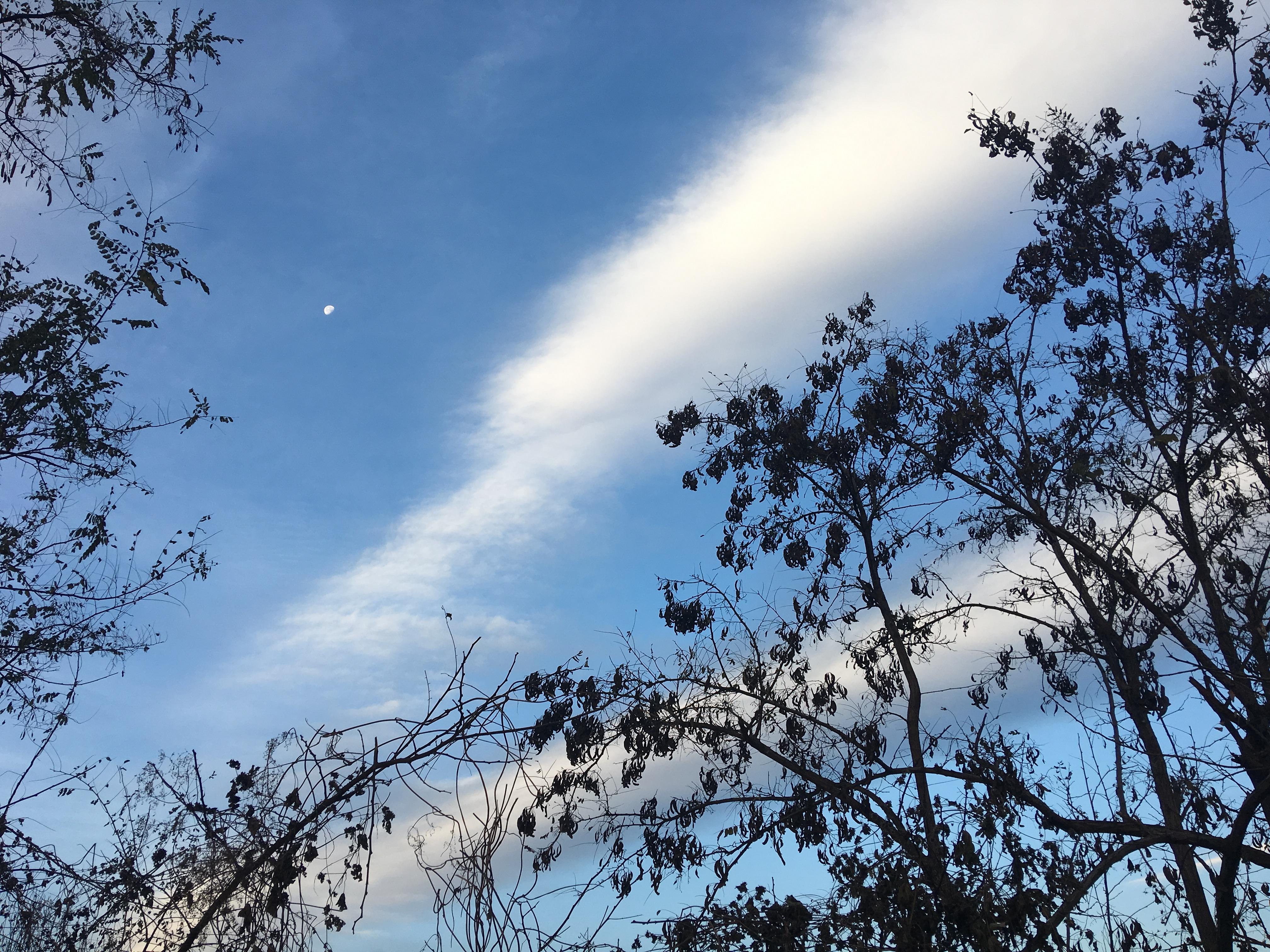 早上起來到河邊溜達溜達,居然看到香山上空的藍天白雲,日月同輝