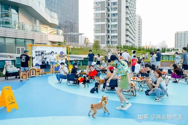 深圳来福士广场打造了5000m²的天台宠物乐园，或是盒子商业践行宠物友好的新思路 - 知乎