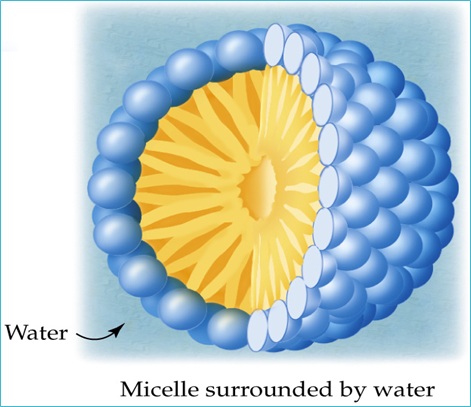 (2)胶束以及临界胶束浓度(cmc)