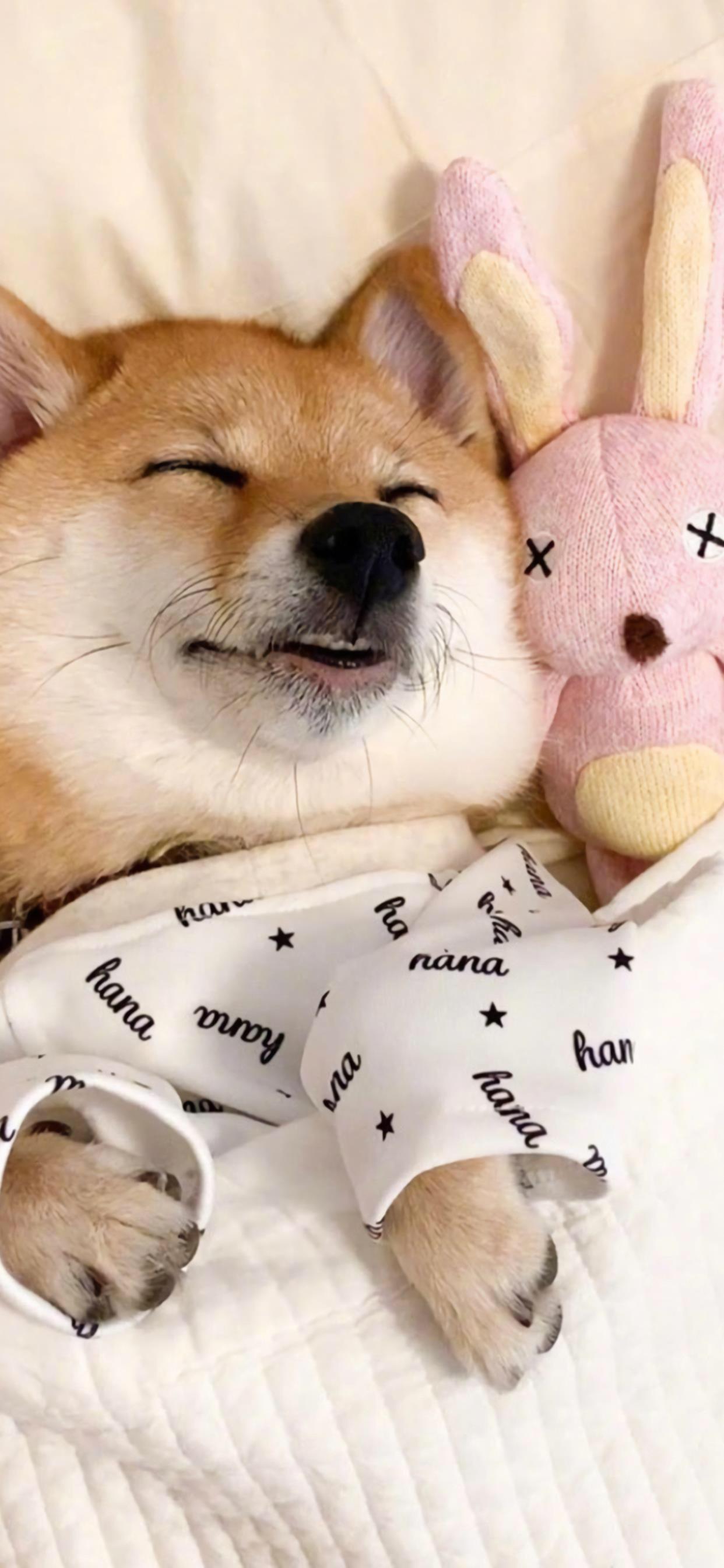 有没有有一些情侣间用的好看的微信聊天背景图? - 知乎