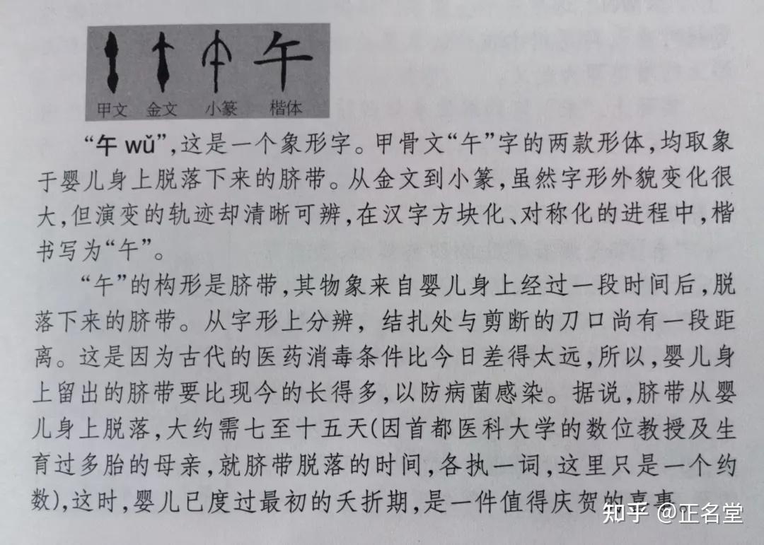 午字字源破解,竟源自立竿测影! - 知乎
