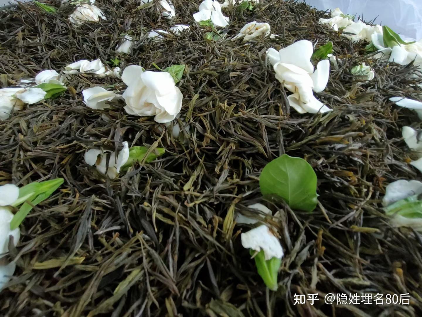 如何选购口感好的栀子花茶？ - 知乎