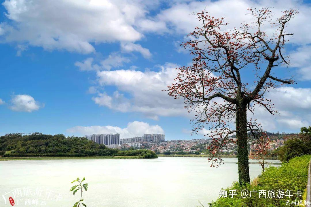 end-*攝影:黃雲峰 (攝於邕江一橋頭,仙葫,民生