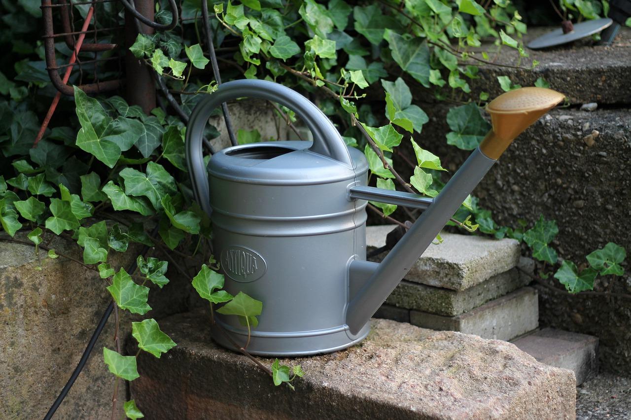 3. 学生版壶性价比