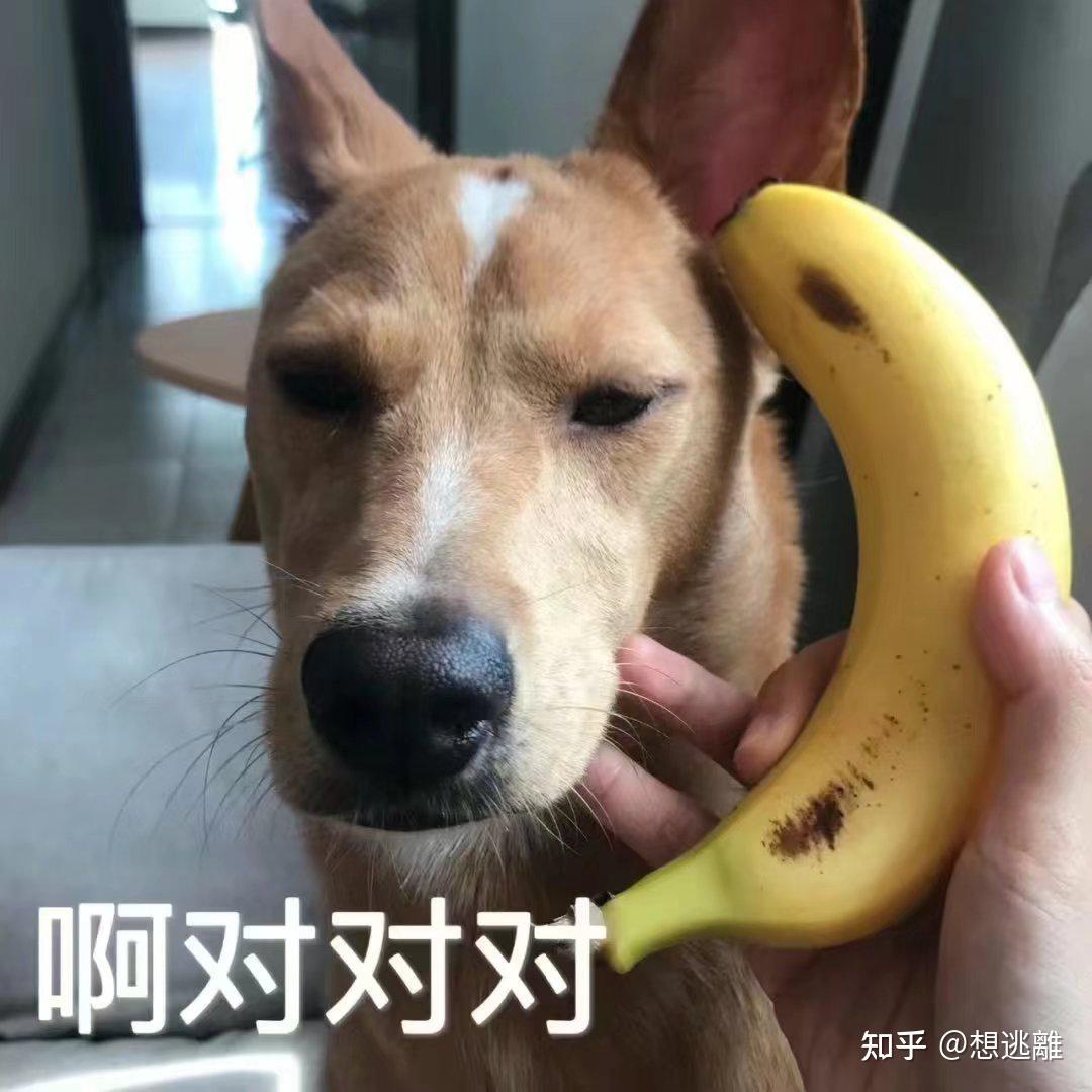 斗图必备搞笑表情包|啊对对对 你说的都对 - 知乎