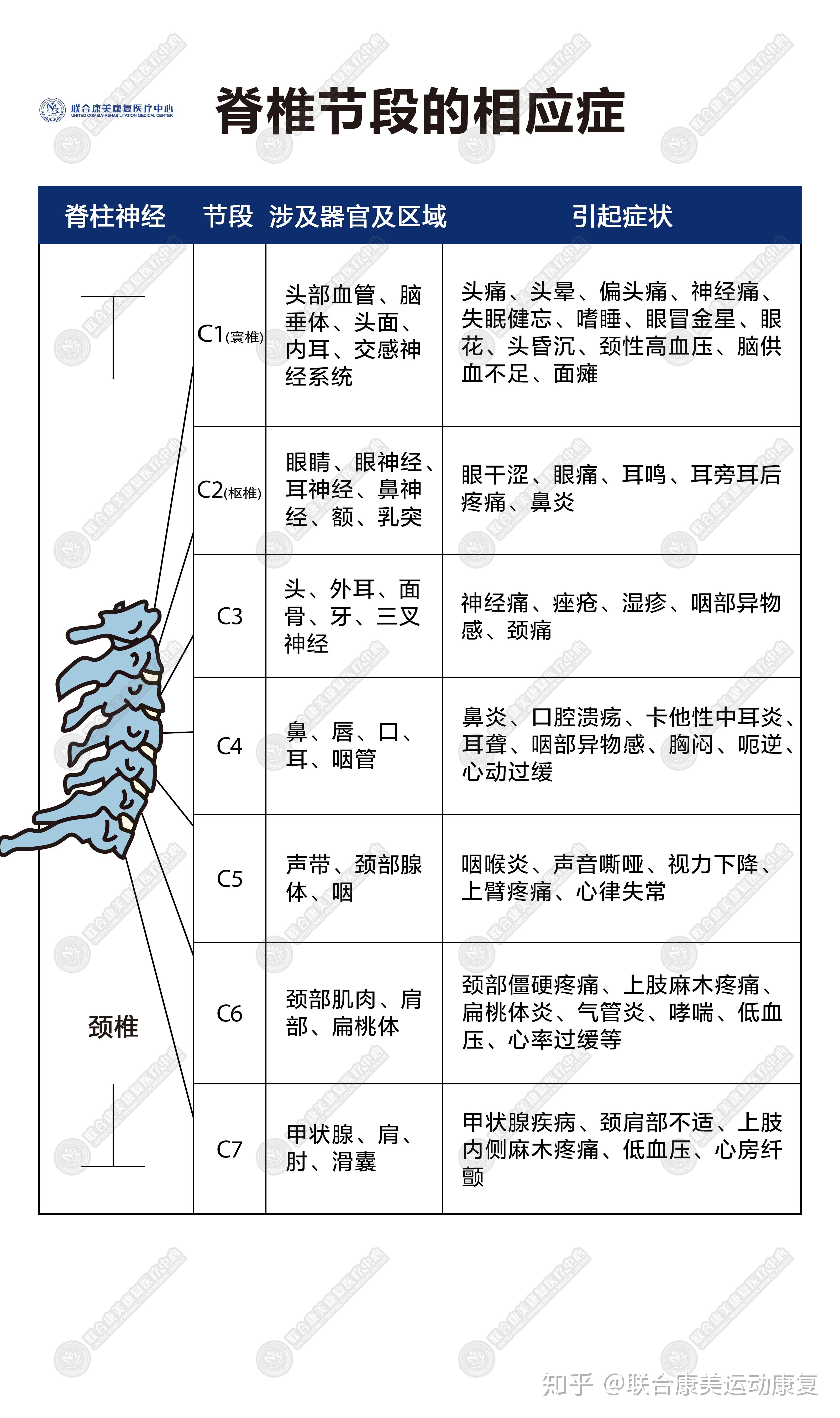 人体脊椎疾病对照表图片