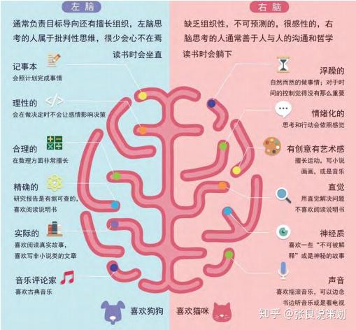 但不论你是左脑使用者,还是右脑思维者,我们都不可否认的是,这两种脑