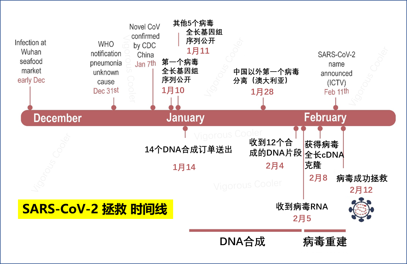 如何看待欧洲科学家称,在实验室重组出新冠病毒并激活? - 知乎