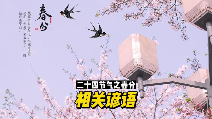 二十四节气之春分:相关谚语 - 知乎