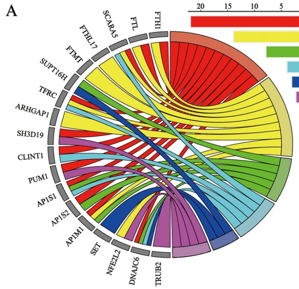 R语言绘制和弦图 并学习Cancer Cell文章的和弦图画法 - 知乎