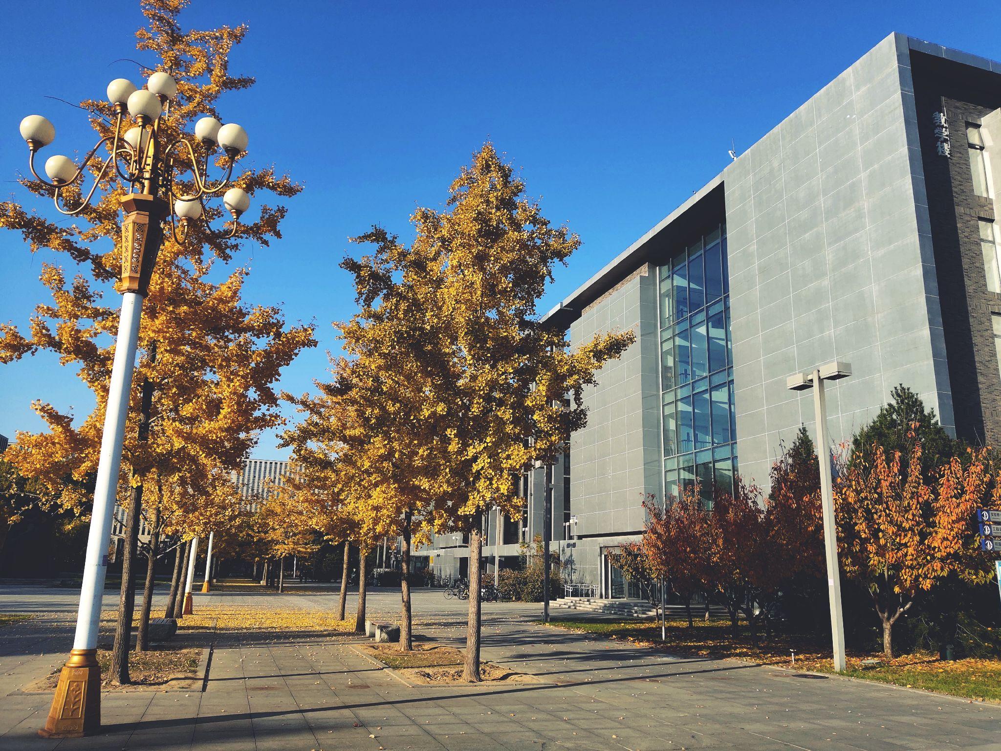 在北京航空航天大学就读是什么体验? - 知乎
