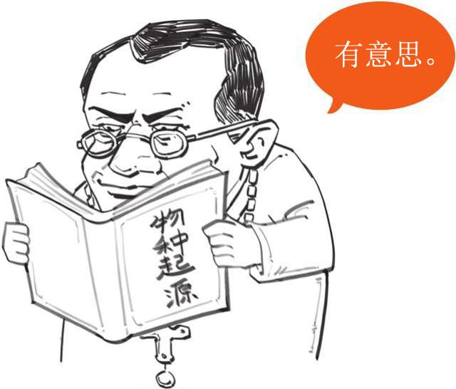 如何评价孟德尔的豌豆实验意义和过程谢谢