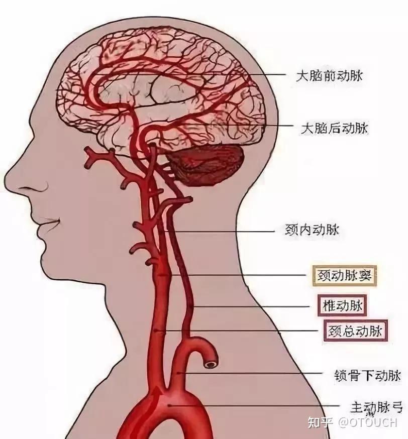 種草莓,在專業醫學術語叫