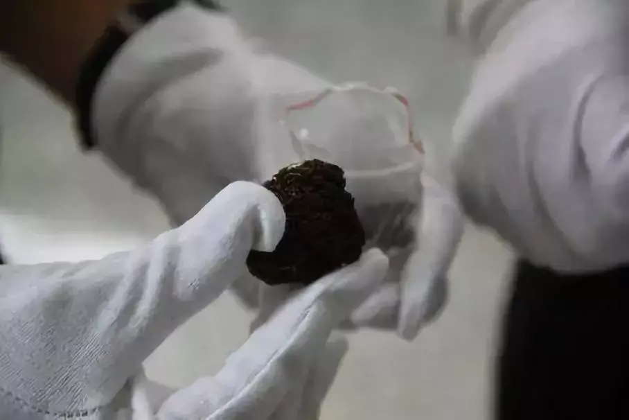 云南边境地区流行的卡苦是一种什么毒品