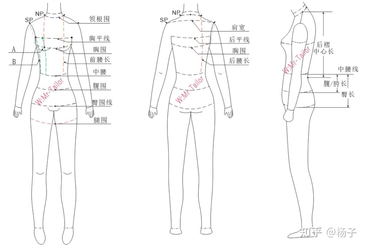 旗袍定制---量体位置参考 - 知乎