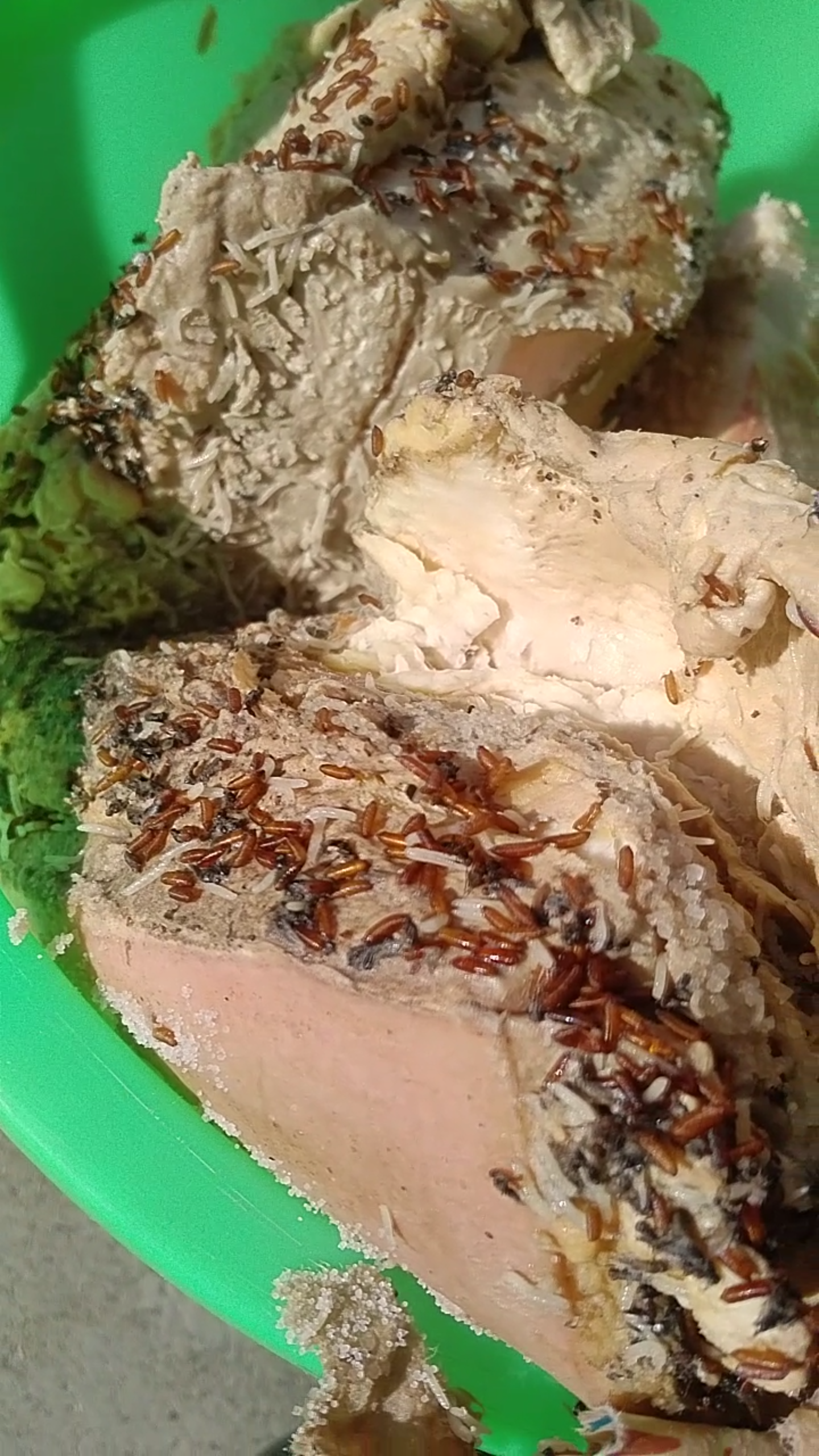 你吃过的最恶心的食物是什么? - 知乎
