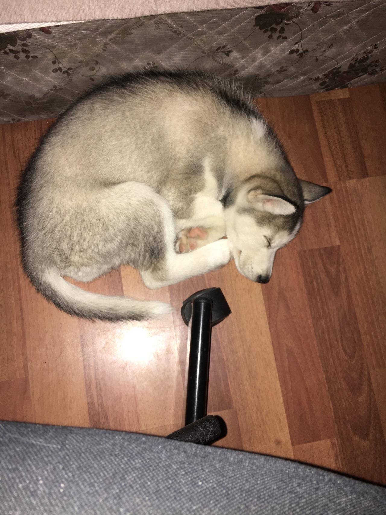 有没有什么时候会让你感觉会单身一辈子? - 懒