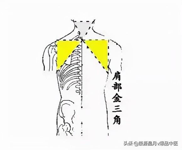 神奇的人体三角区,养好了,百病难扰 - 知乎