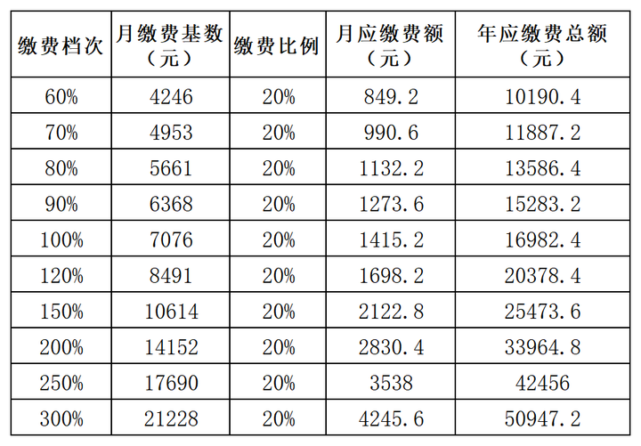 2020年社保缴费明细表图片