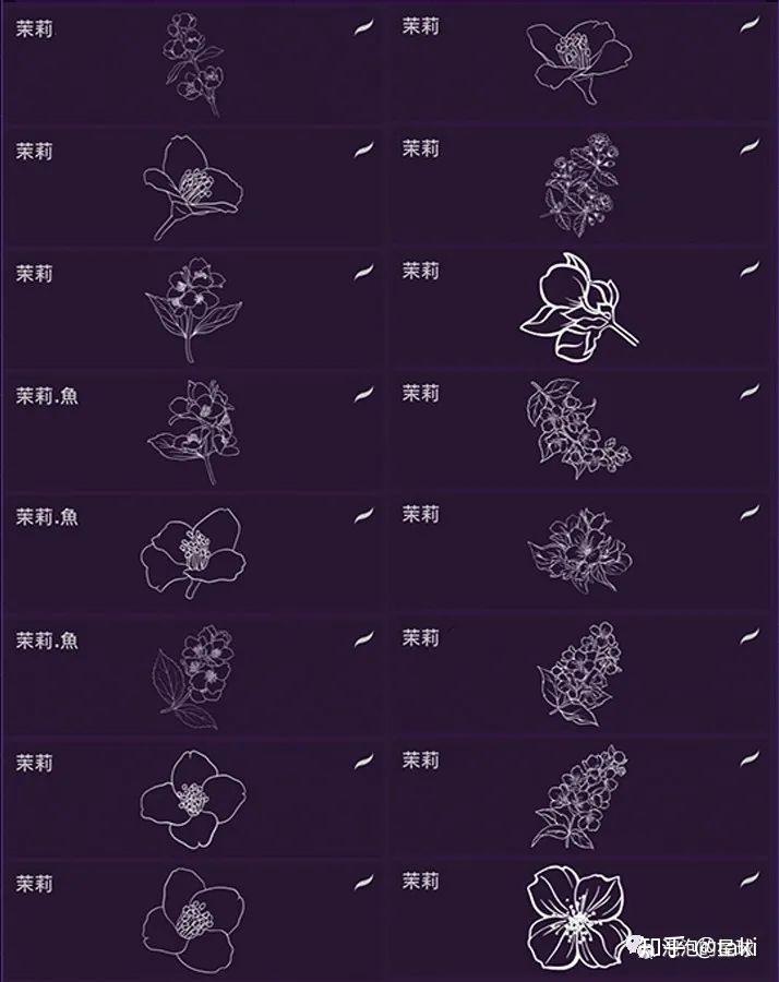 PS+procreate黑科技！各种绝美花卉线稿笔刷齐亮相！ - 知乎