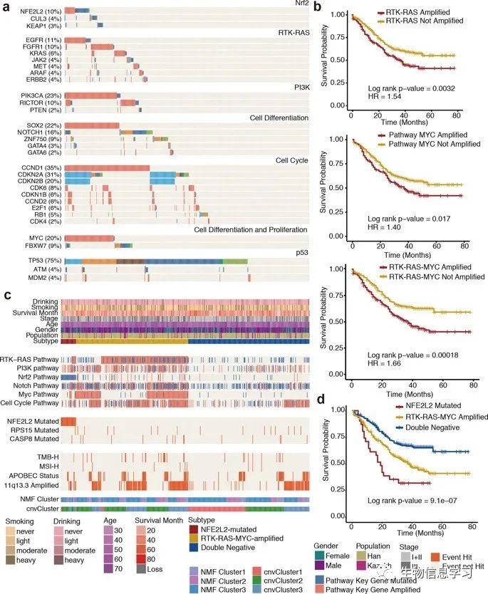 身份在Cell Research杂志上发表医学论文?