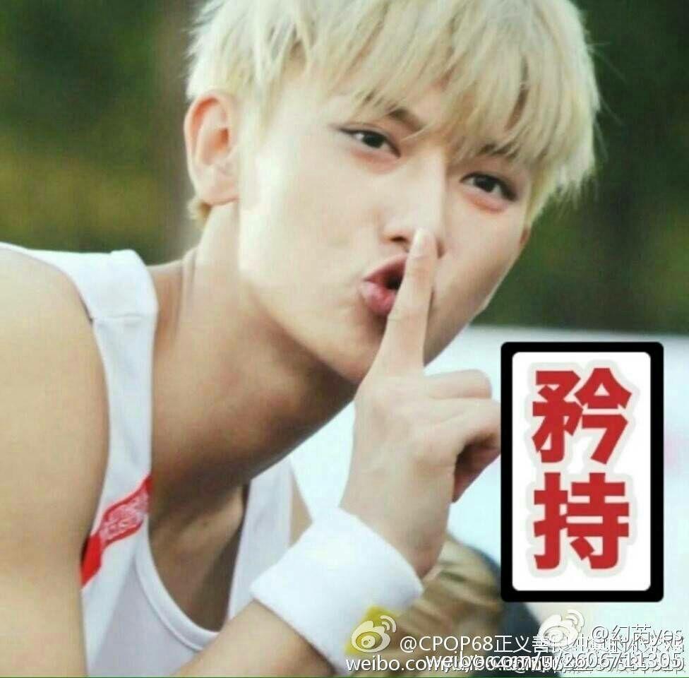 大家都在谈骨相美皮相美的美人,也讨论下皮相