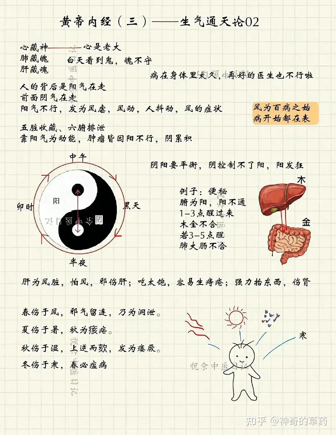 《黄帝内经彩色图文笔记》全集（建议收藏） - 知乎