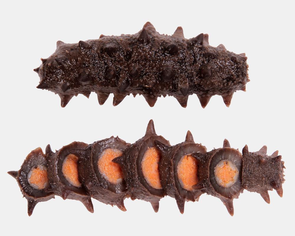 黄金卵海参海参花中的海参脂质含有丰富的不饱和脂肪酸,对现代人的高