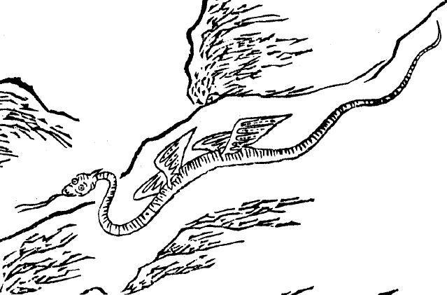 《山海经》里的这种动物,叫鸣蛇.这蛇不仅有翅膀,还有两对.