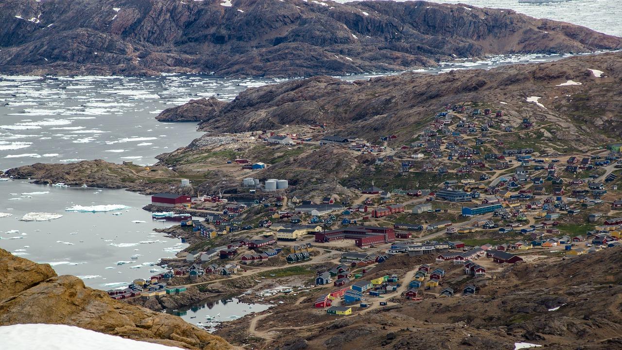 神仙树缤纷为什么降价